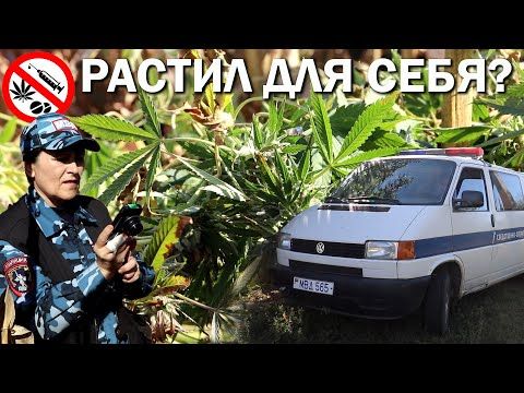 � ��������������� ������� ��������� ��� ��� ���������� ����������� ������. �������, ������� ������� ������������� 50-������ �������, ������� �� ���� ������ � ������. ����������� ������� ������ � ����� ���� �����