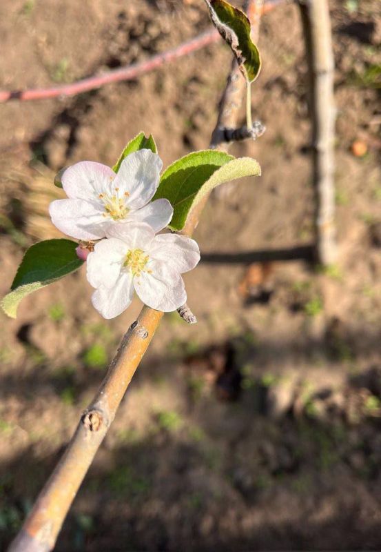 �� ����� ������. � ������������� ������ ������.