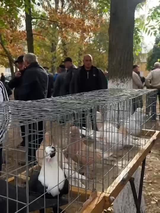 � �������� �� ���� ���� ��������� ��������� �������