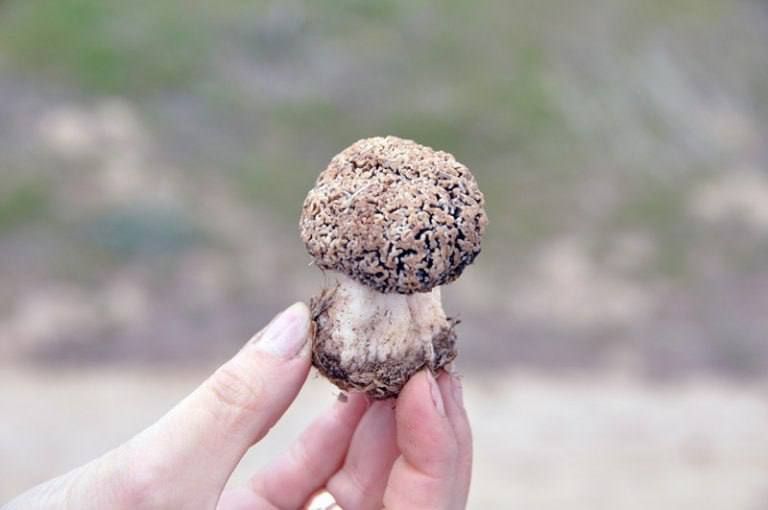 ������� �������� ����� �������������� ��� ����� ��������� � ������