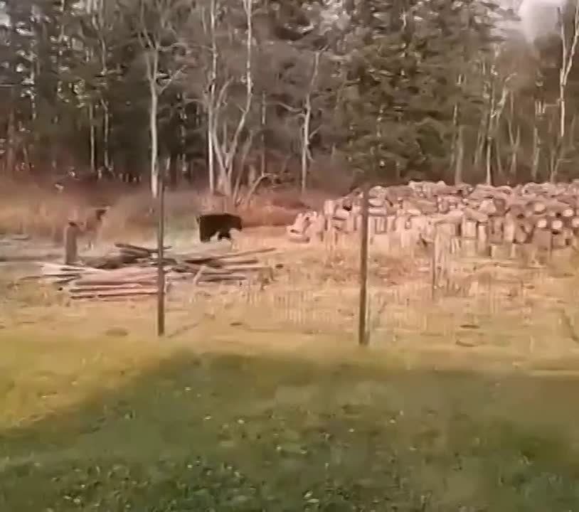 ���� ����� ������� ���� � �����!�