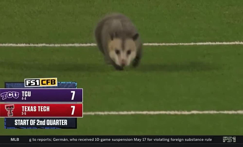 � ��� ��������� � ������� ������� ���� ������� ������ ����� �� ������������� �������