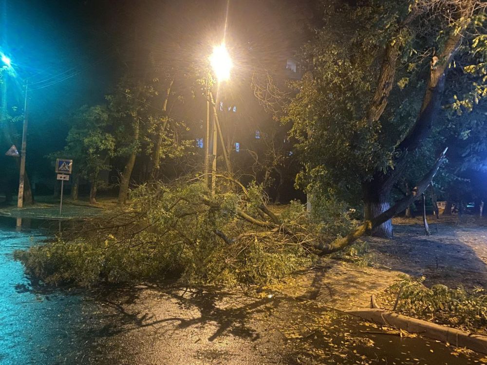 ����������� ��������� �������� � �������� ���������� ����-������ � ������� �����