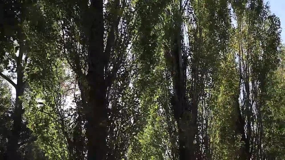 �������� �������� � ���������