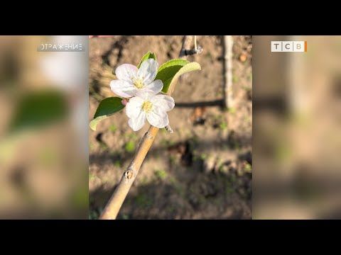 ����, � +20, ��� � ������. ����� ��� ����� ���������� ���������� ���������