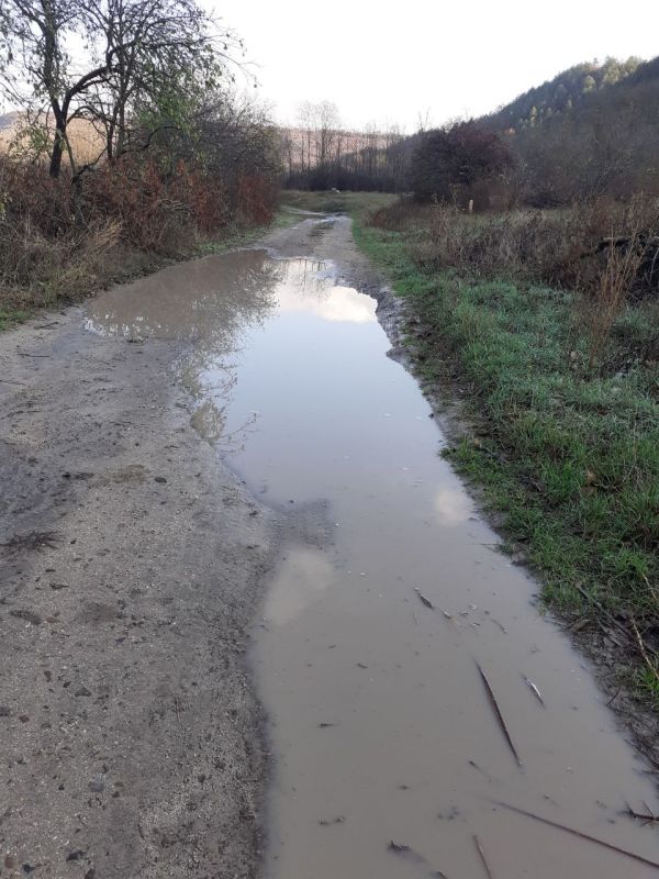 � ��������� ������ � ���� ����� ���������� �����