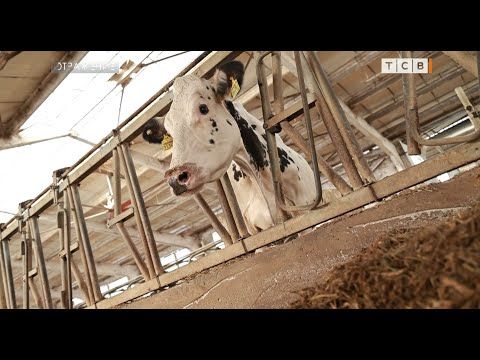 ��� � ���� ������ � ������� ��� ��� �������� �������? ��������� ����� �� ���� ������ ����� �������� ����� �� ������ ����� ��...