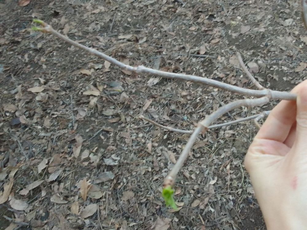 ������. ����� �������������, �������... � �� ���������� ������ ������������ ����� � ������� ��������