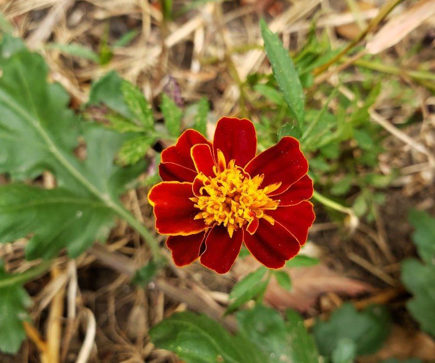 �������� ������