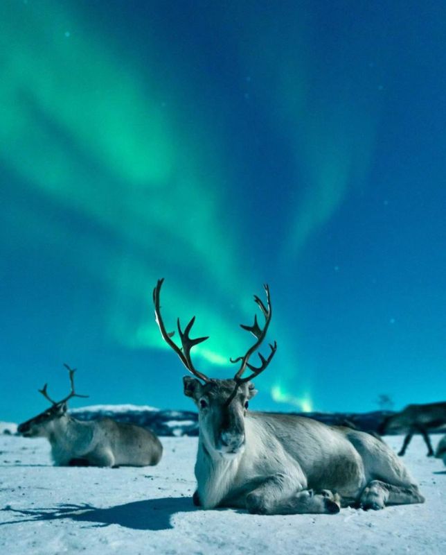 ����� ����������� ���� ��� � �����