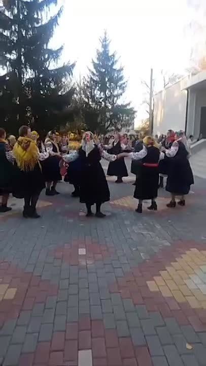 ���� ���� �������