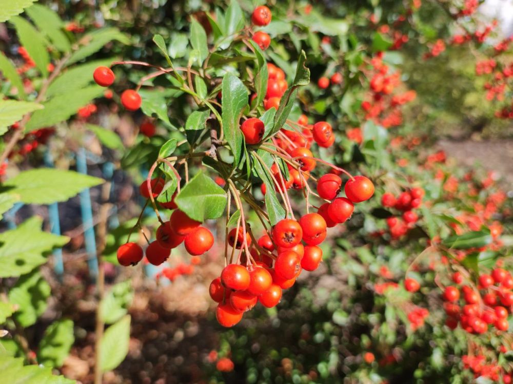 ������� ������. �������, 6 ������, ��������� ���������� ����������, ���� ��� �������