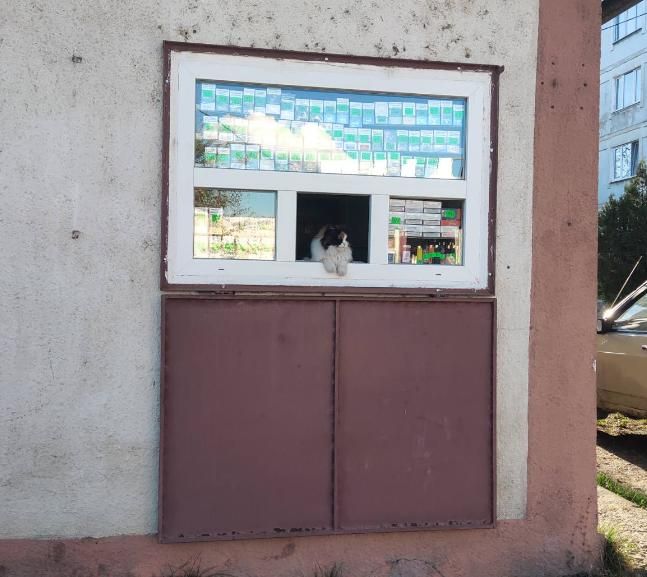 � ������� �������� �������� ��������.