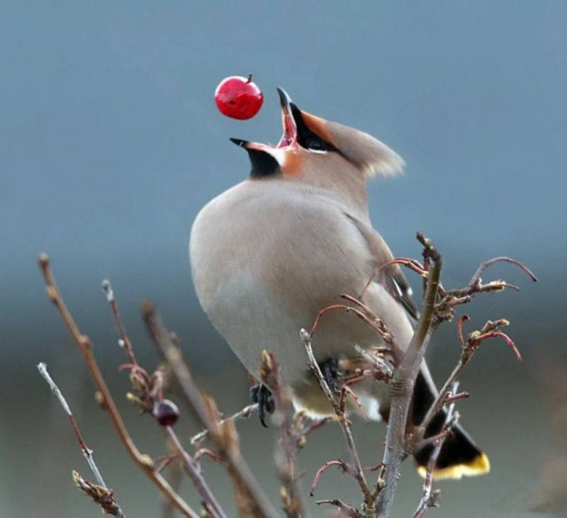 ���������� ����������, ��� ����� 100 ������ ����������� ������� � ����� � ��������� � �����������