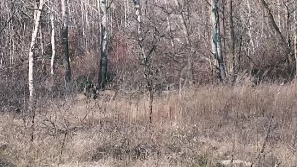 ������� ����������� ����� ���������� ������ ������������ � ������� ��������� ������