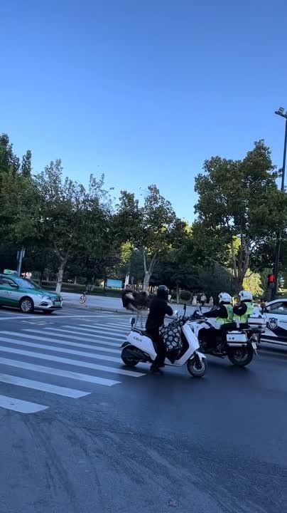 ������ ������ �� �������� � ������� �� ����� �������� �� �����������