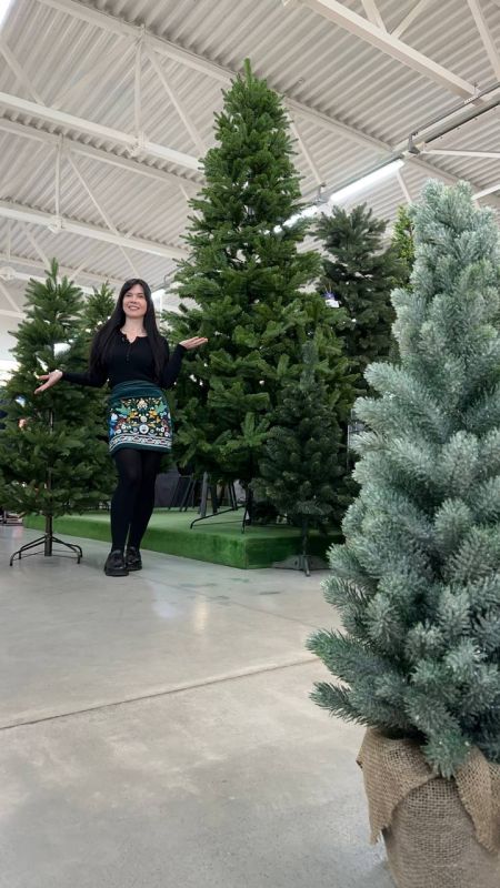 ������������ ���� � ������������