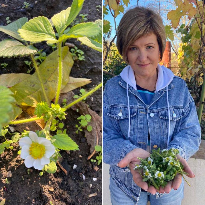 ���� �� �����������. ��� ������ ����� �������� ��������, ������� �������. ��� ����� ��� ����������� � ������. ������ �������� ��������, ����� ������ ����� �� �����