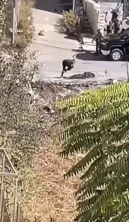 �����, ������� �������� ��� ������ �� ��������� �� ���������� ��������� ������� ������, �� ����� ���� ����� �� �����...