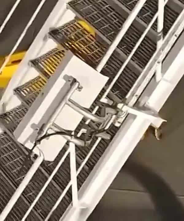 ��������� ����� �������� �� ����������������� ����� �� ��������