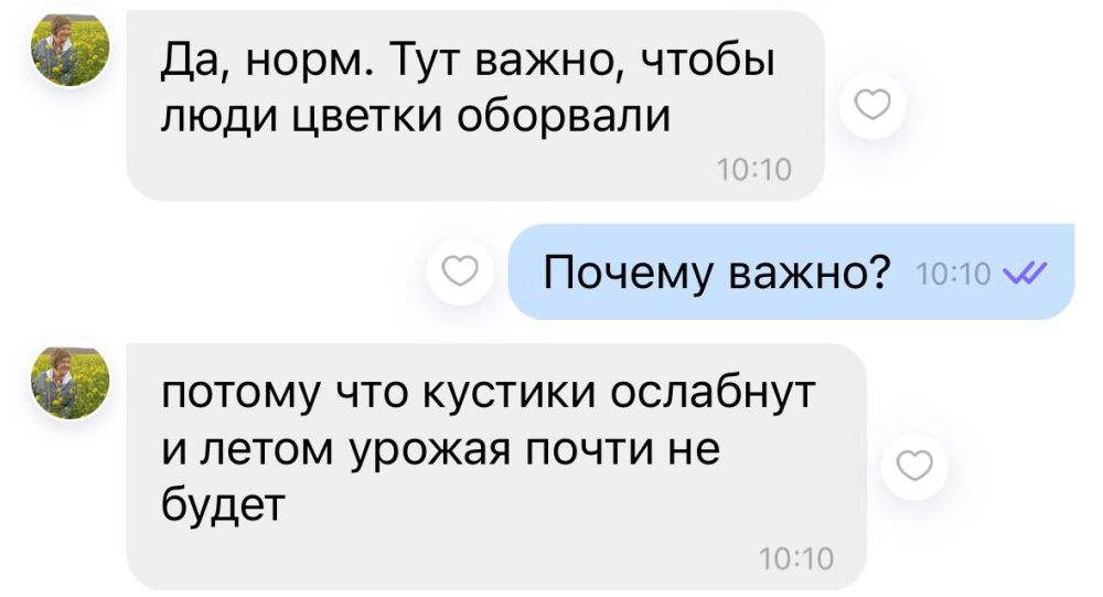 �6 ����� �����������