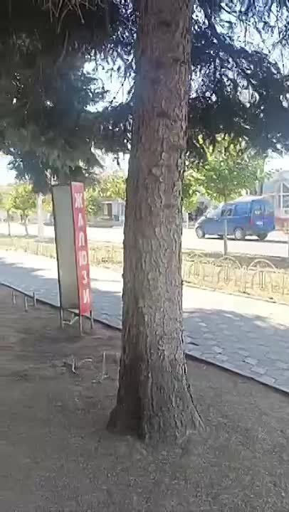 � �������� � ����-�� ���������� ����, � ��������� � ���� ���������� ���������