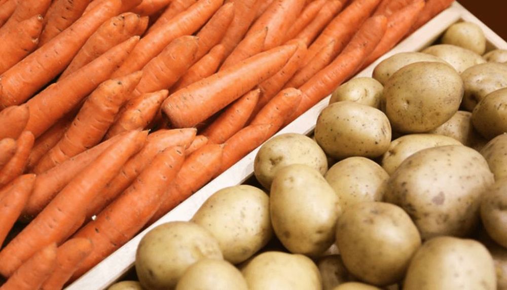 �������� � ���������� ������ ������ �������������������� �������