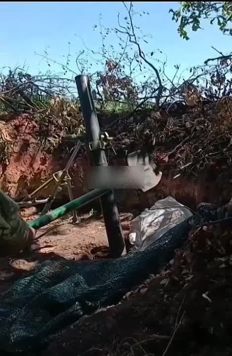 ������ �� ���������.