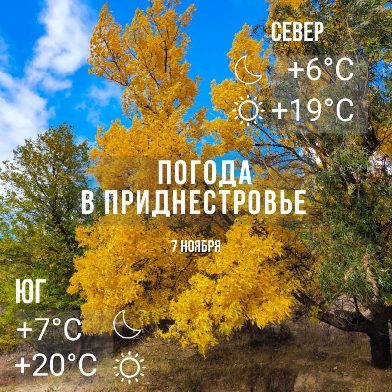 ���������� �������. ���� �� + 20��. �������� ������� ������� ��������������� �����