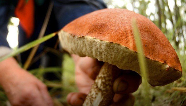 ���������� ������� � ������� ��� ������