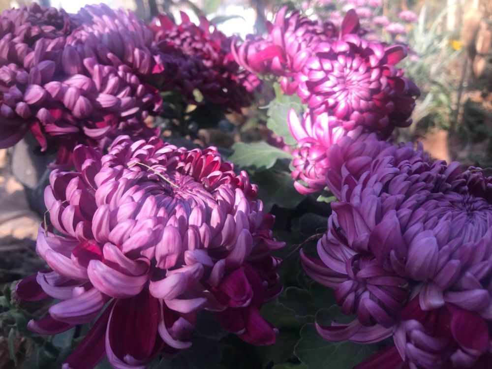 9 ������ ��������� ��������, ���� � ������������ ������, ����� ������� ��������������� �����