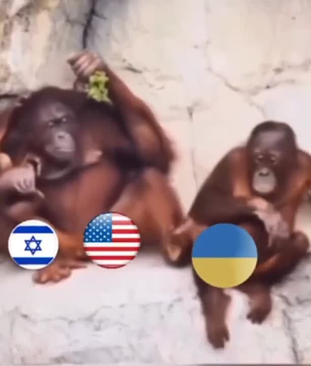 ������� � �������� � ����.