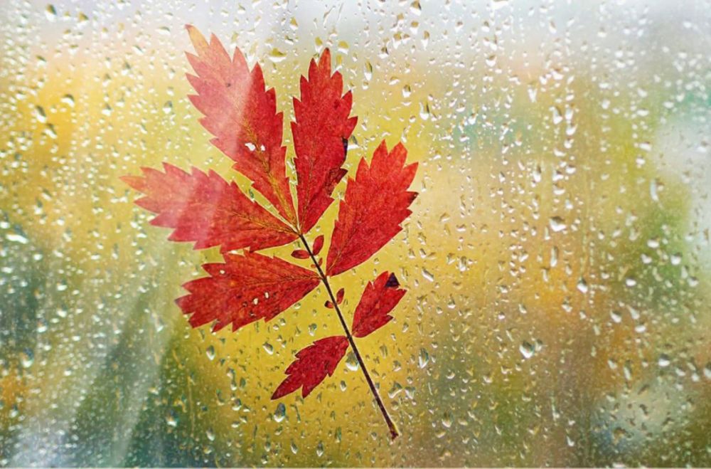 ������� ������. �������, 8 ������, ��������� �������� ������, ������� ��������������� �����