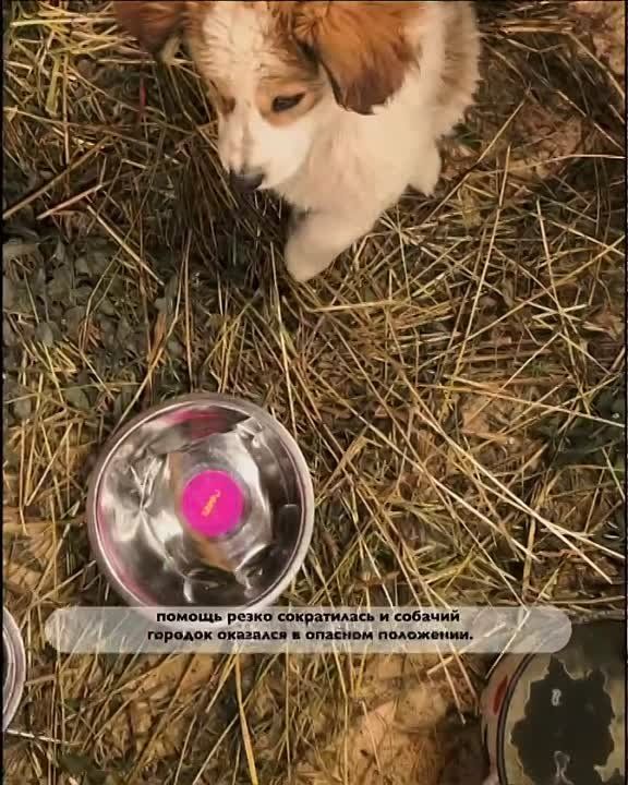 ����� 600 �������� ����� ���������