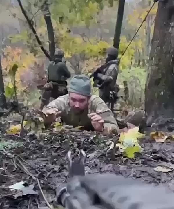 ���������� ������� ����� � ���� ���������� ��������������.