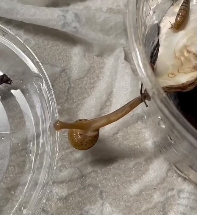 ��� ��� ������������ ������ ��� ���������