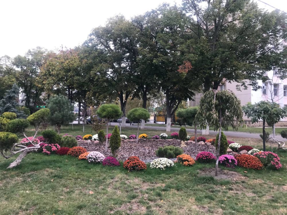 �� ���� ���� ������� ����������� ���������, ������������� � ���������������, ��������� ��� Wi-Fi, � ������ ��������� ���� ���