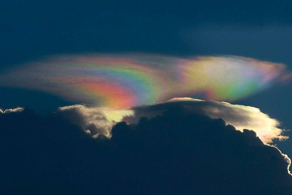 ����� ��������� ������� � ����: ������� �������� ������, ��������, ���� � �������� ������