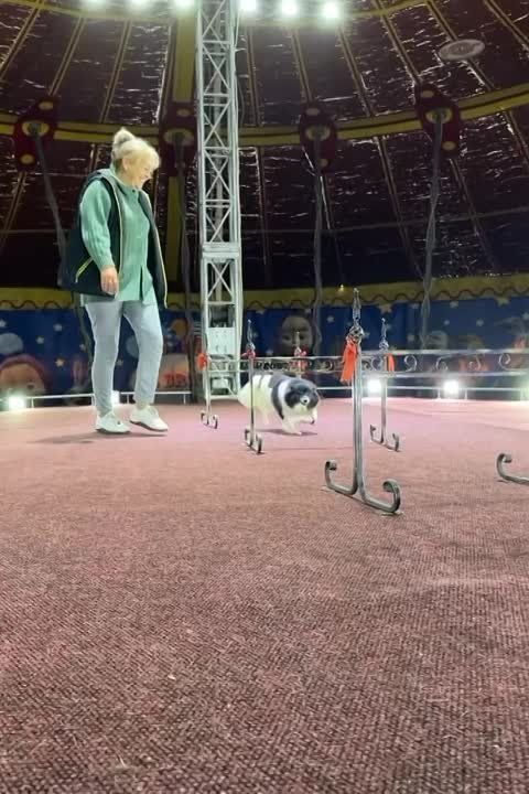 ���� � ������ ��������� � �����������