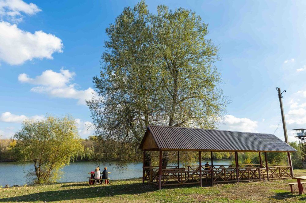 � ������������� ����ջ ������������ ������������ �������