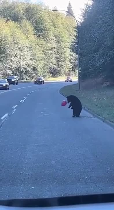 ������ ��������� ����� ���