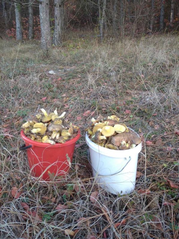 ����� ����� ����� �������-�� �������� ����� ������