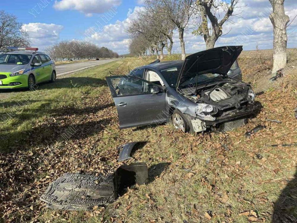 ������ ����������� �� ����� ����� ������