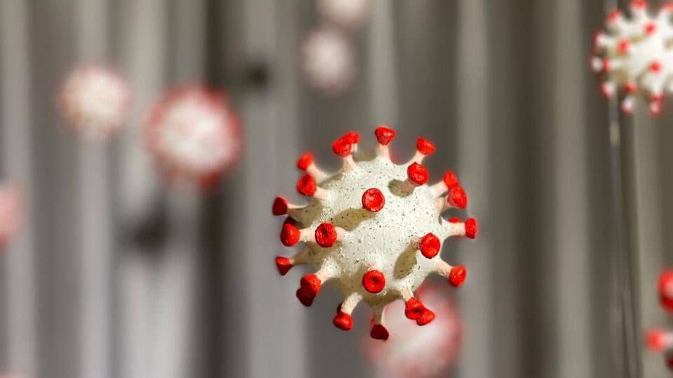 � ������ ������� ����� ������� COVID-19 �������