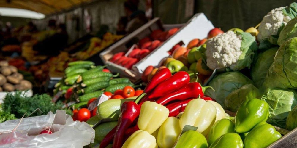 ����� ������� ������������