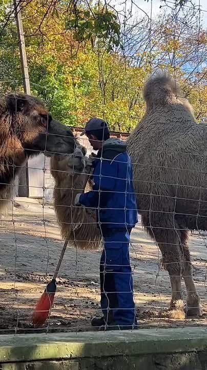 �������� ������������ �������� ��������� � ������� � ���������� � ���������� ���������� ����� �����