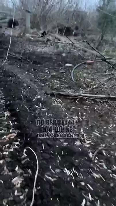 ������������ ���������� �-64�� ���-�� �� ������.