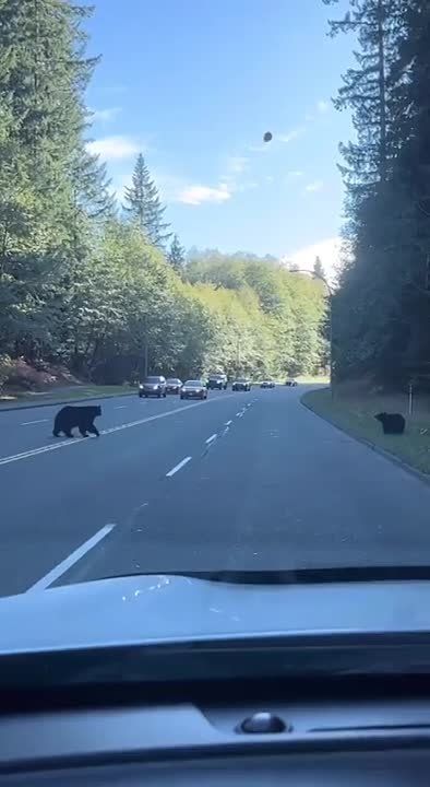 ��������� �����-���, �� �� ���?