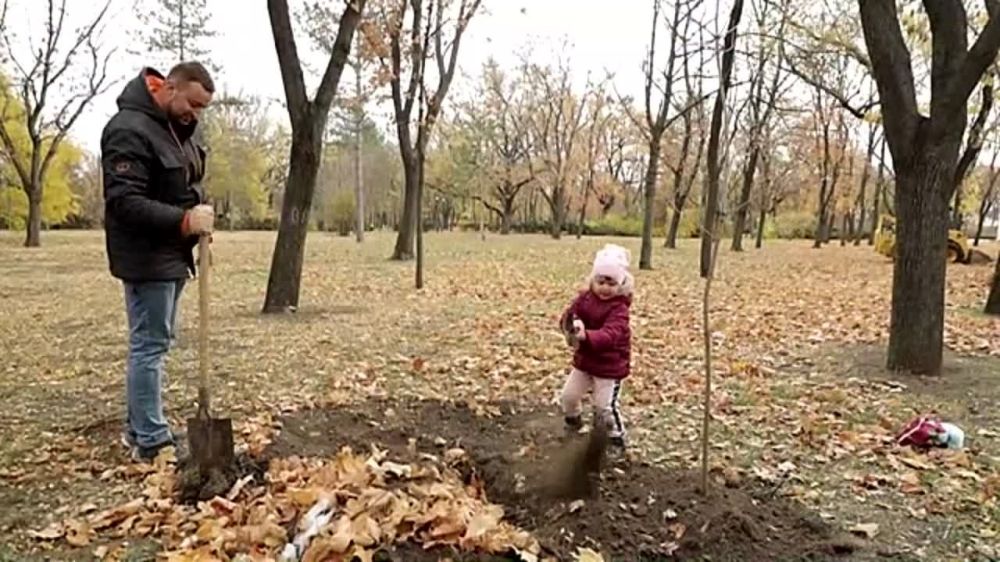 ������ ��������� ������� �� ����� �������������