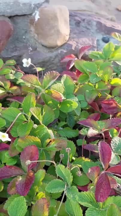 � ����� ����������� �� ��������� ������� ��������� 10-�� ������